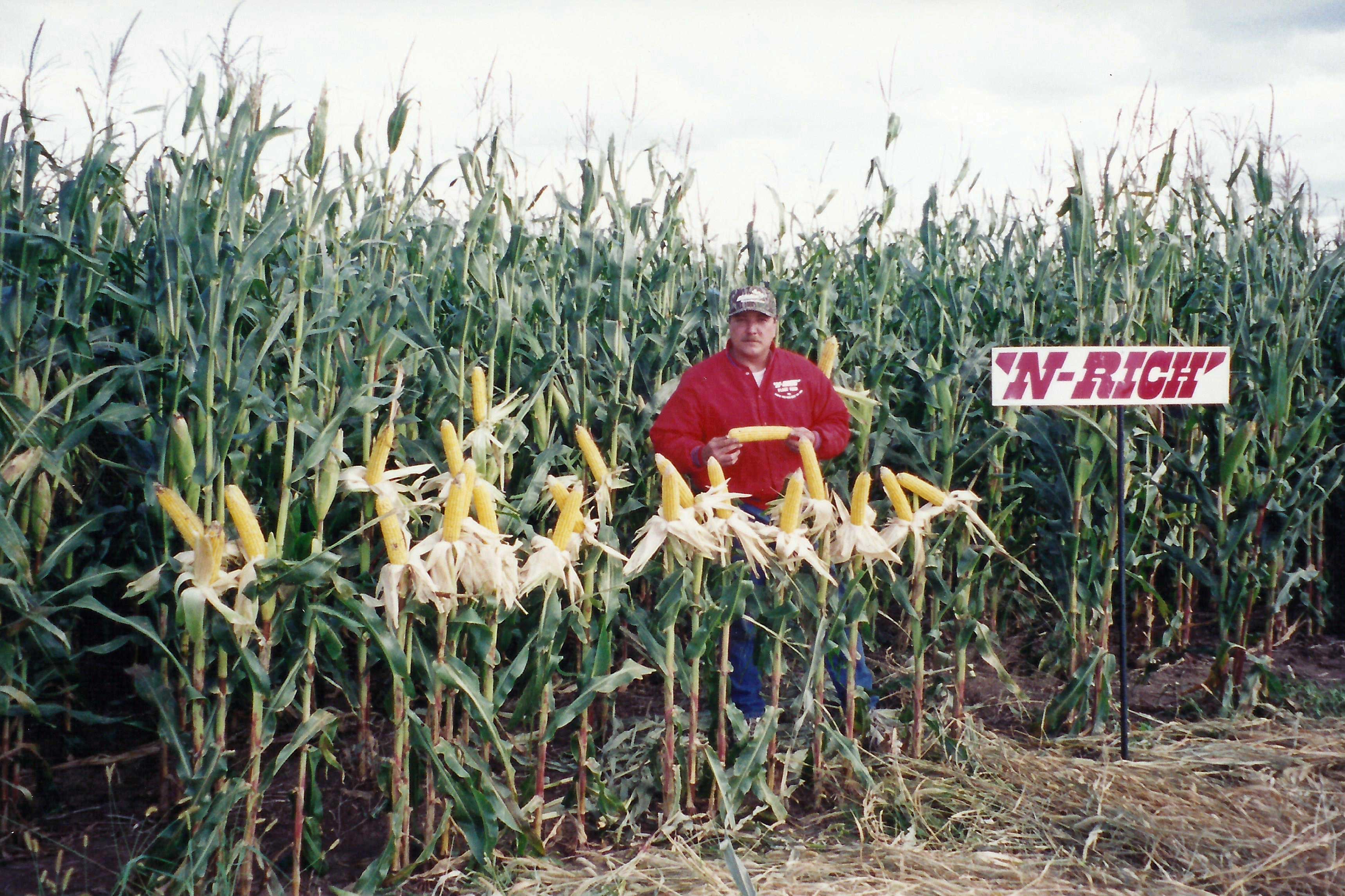 ws-historyp-dan-corn